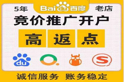 某企业SEM广告投放的ROI提升策略及效果展示